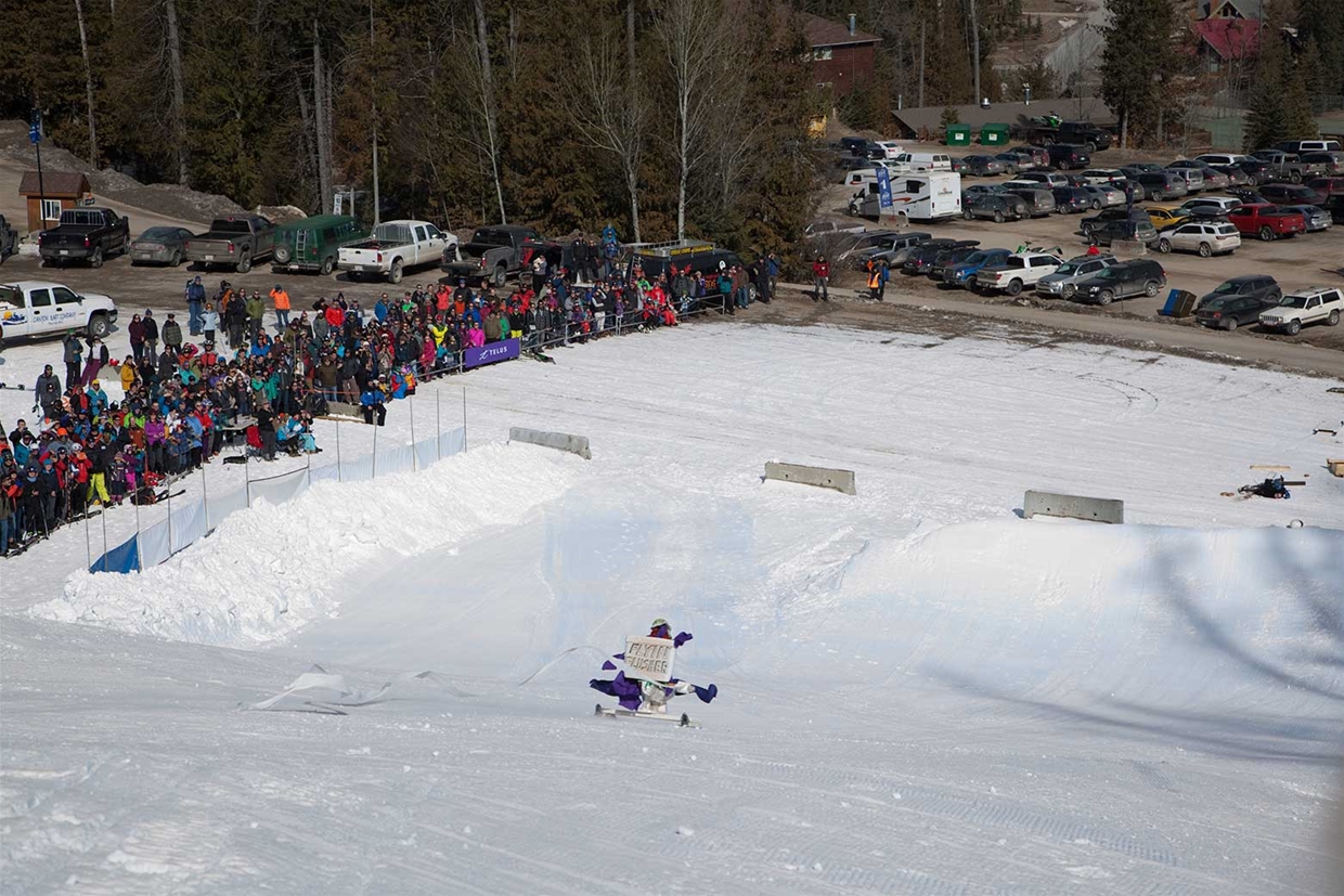 Raging Elk Dummy Downhill
