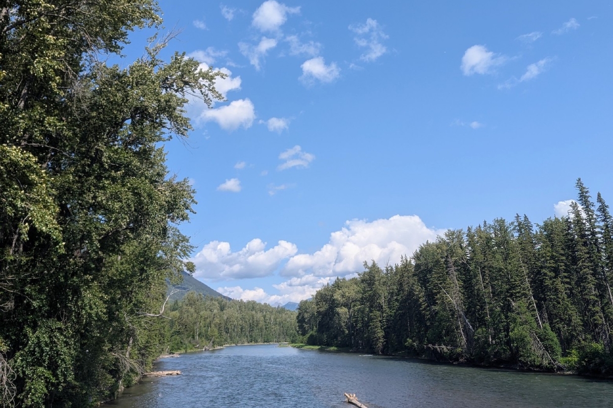 Morrissey Bridge looking Northwest, 11am, Saturday, June 14th, 2025.