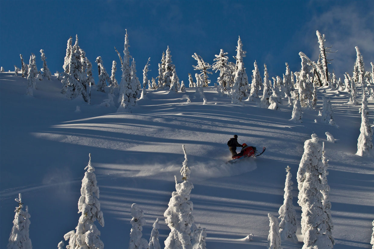 Snowmobiling in Fernie BC