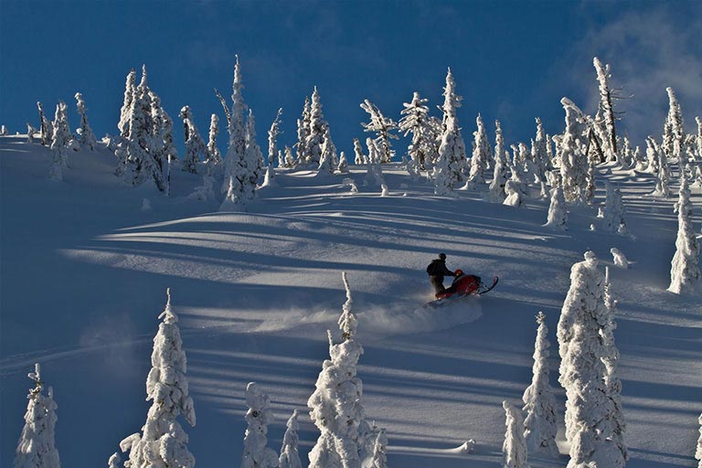 Snowmobiling in Fernie BC