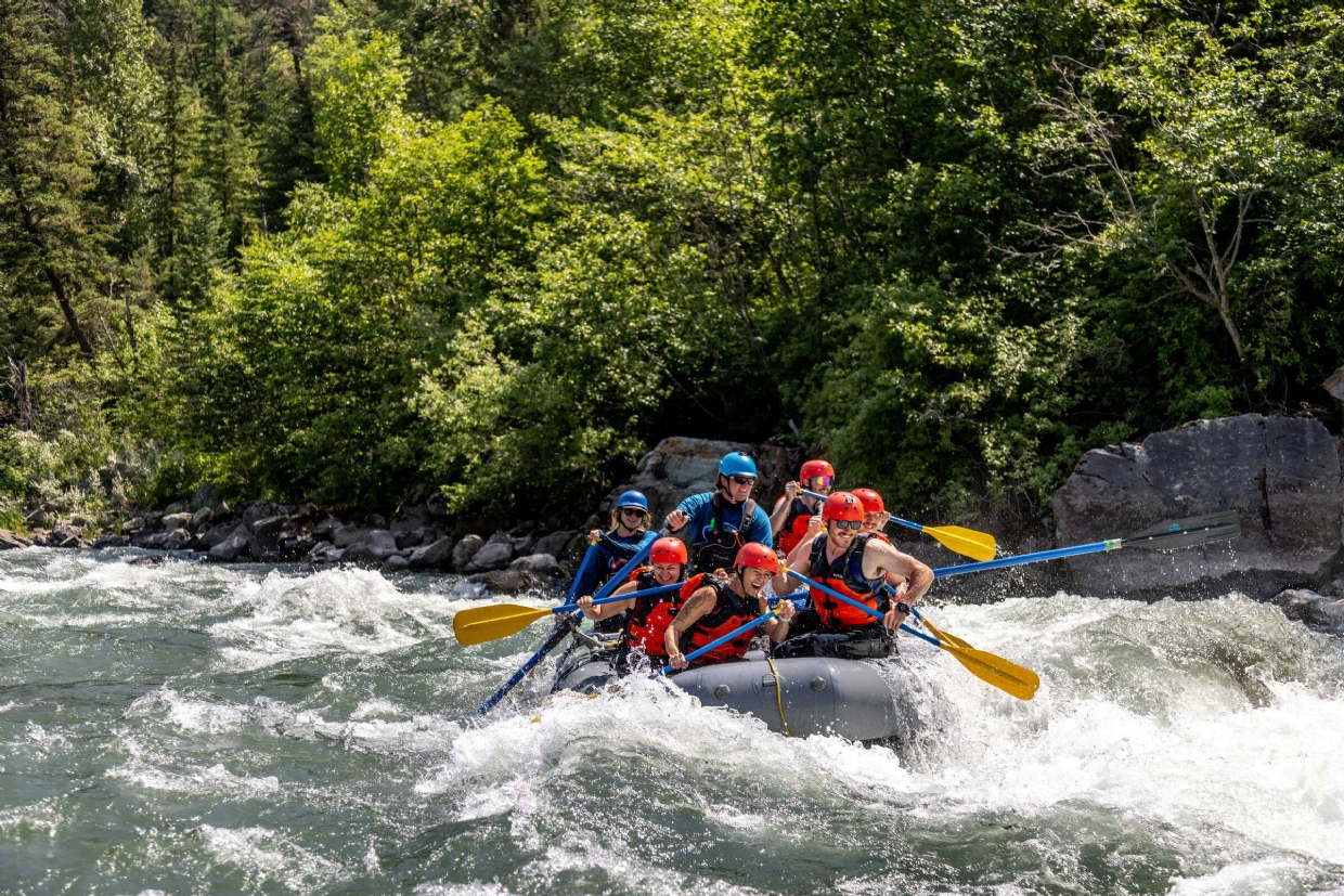 Splashes and adrenaline guaranteed on a white water rafting trip