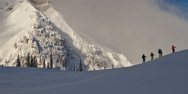 Morning tracks at Fernie Alpine Resort