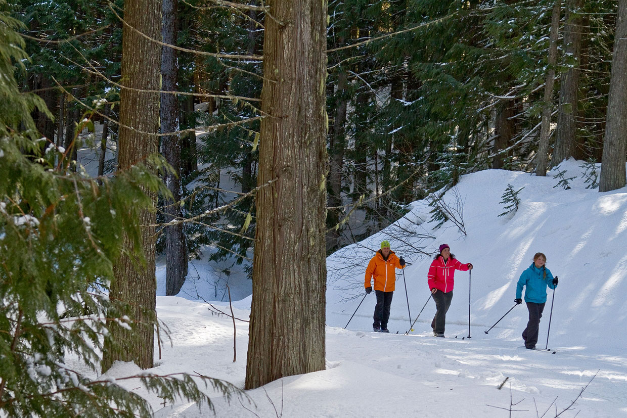 Cross Country Skiing
