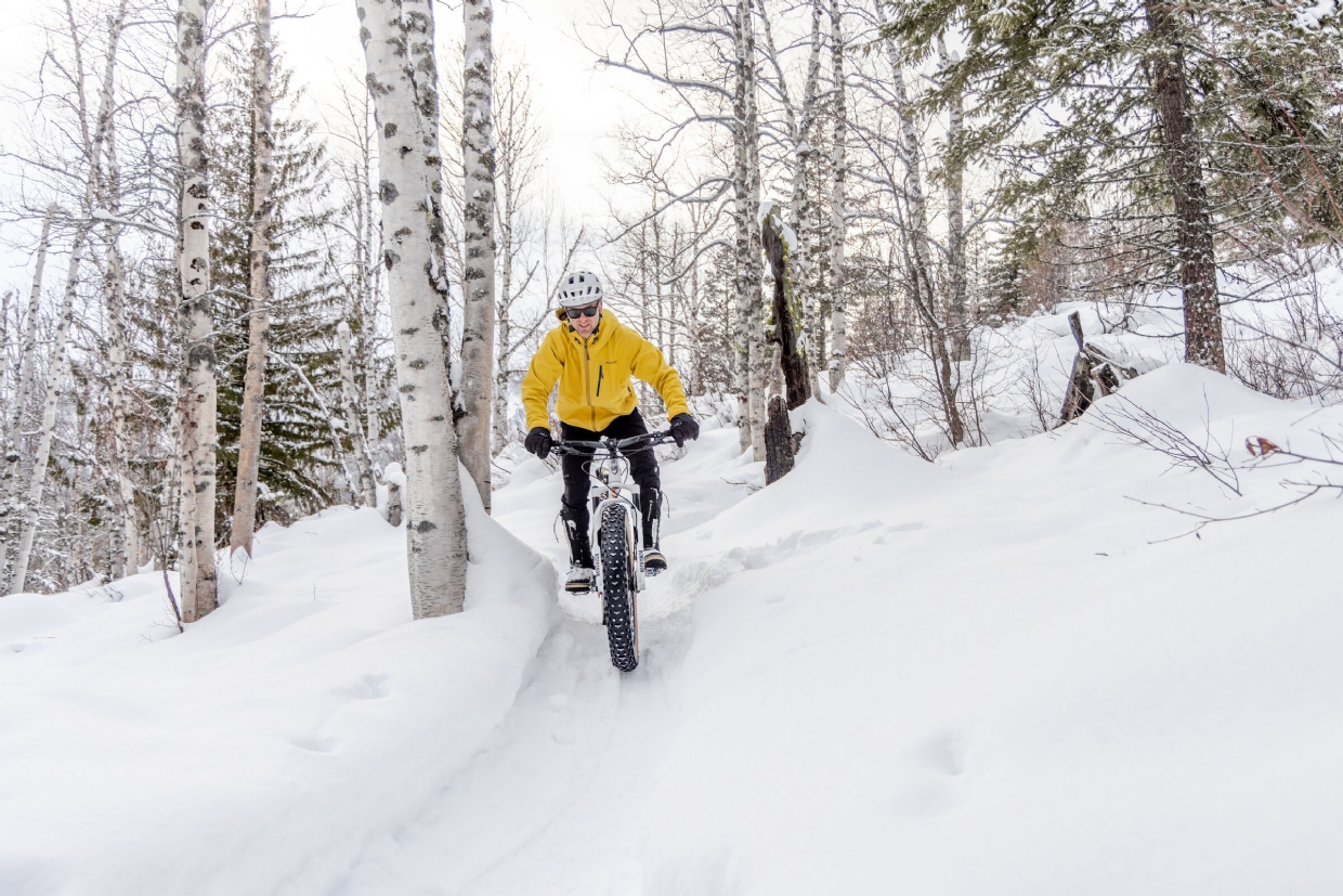Fat biking in Mt Fernie Provincial Park