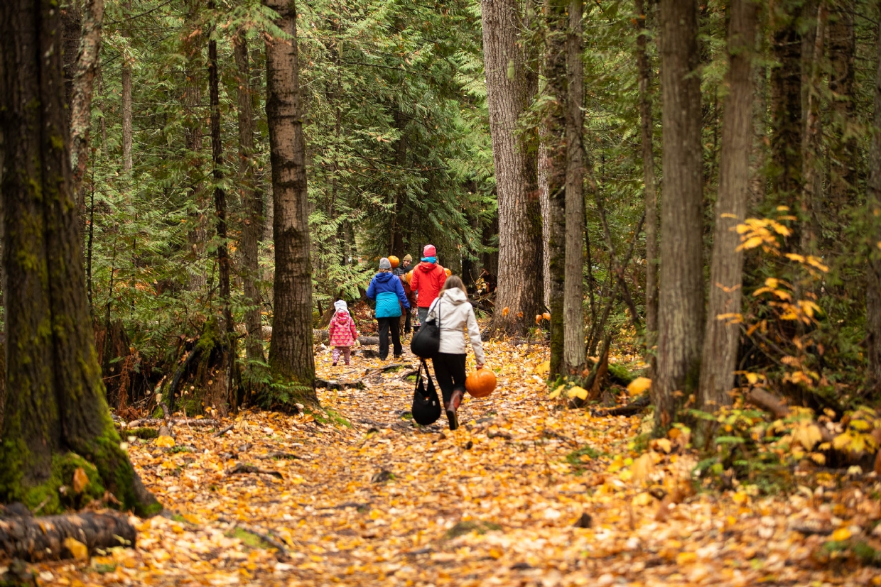 Annual Great Pumpkin Hunt by Fernie Nordic Society