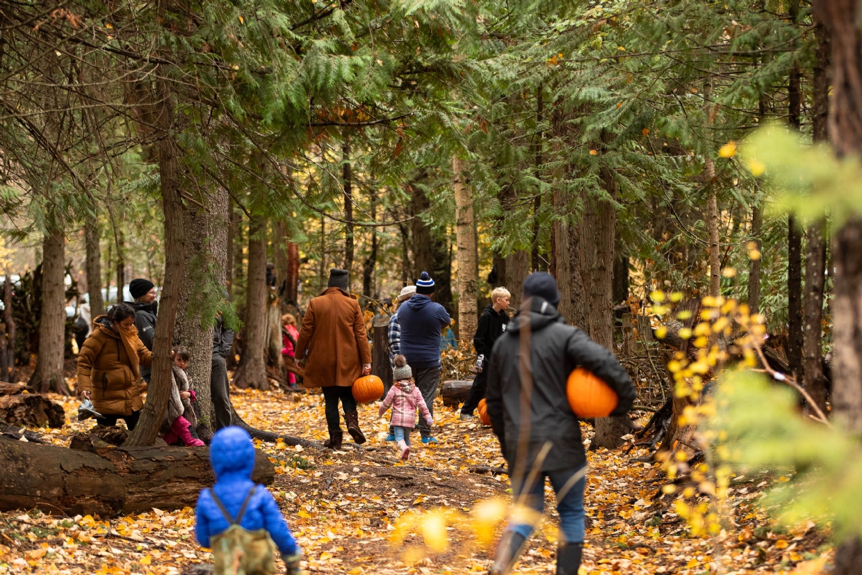 Annual Great Pumpkin Hunt
