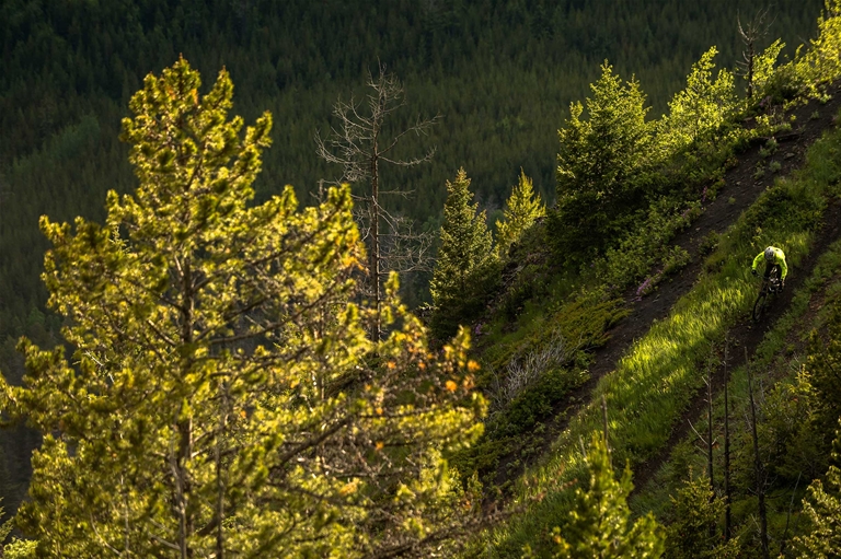 Riding Dirt Diggler Trail in Fernie