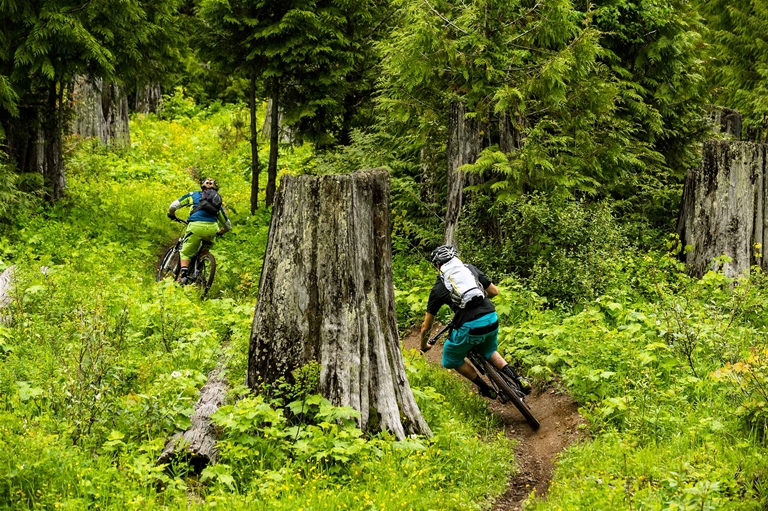 Riding Project 9 trail