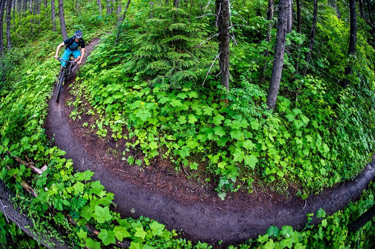 Riding the trails in Fernie
