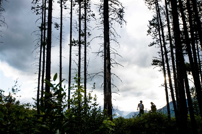Riding Castle Mountain Trails in Fernie