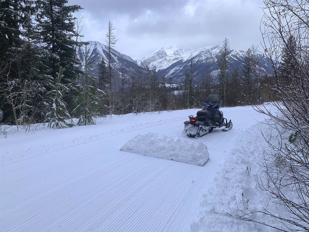Nordic grooming in Montane
