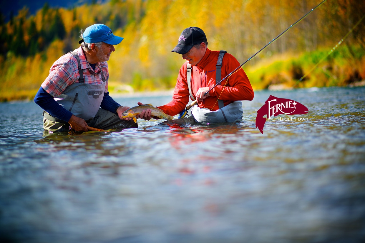 Fly fishing in Fernie