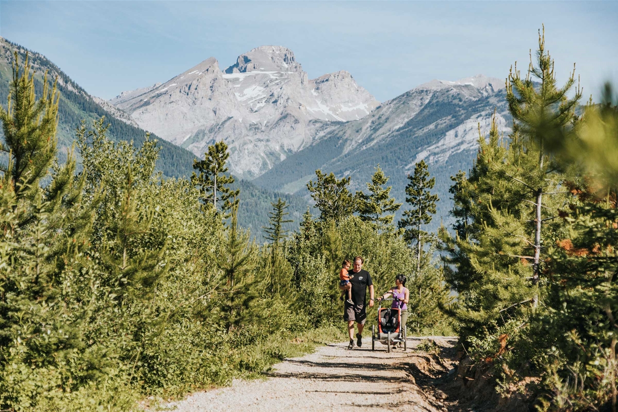 Easy Beaver Multi-use Trail in Montane Area