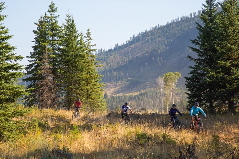 Elk Valley Trail section towards Elkford