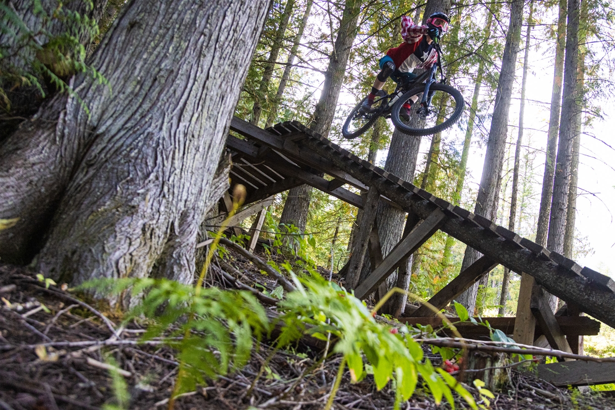 Downhill Mountain Biking at Fernie Alpine Resort