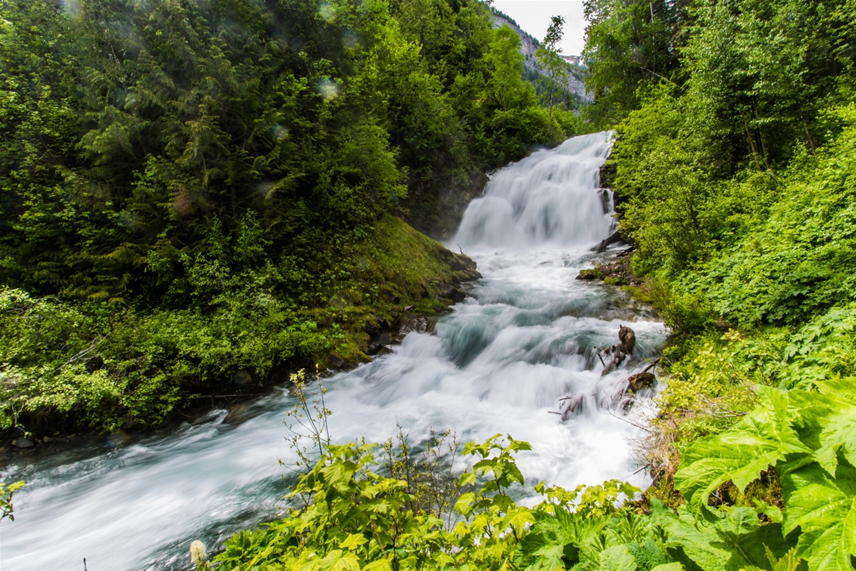 Fairy Creek Falls in springtime 