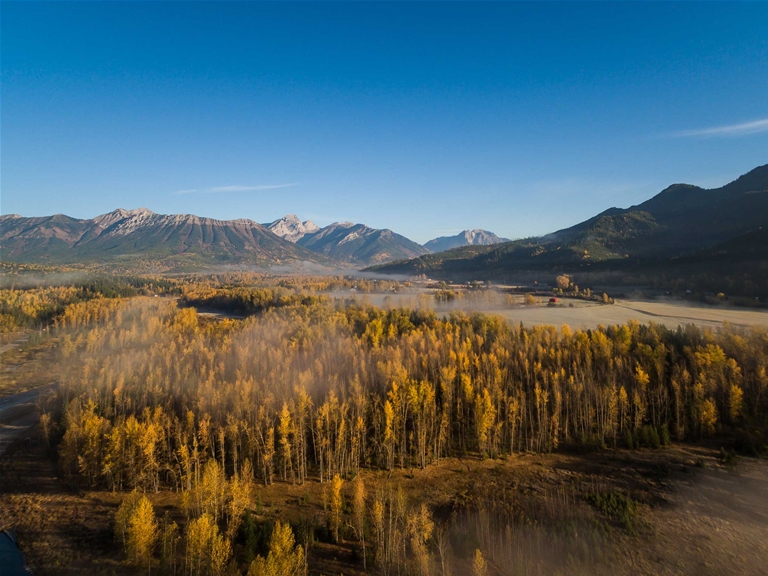 Fall colours in Fernie