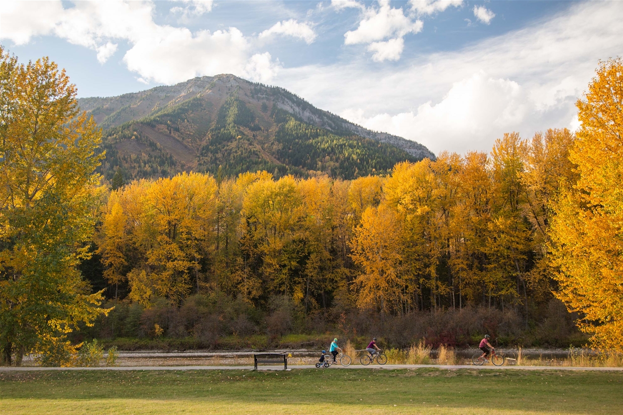 Annex Park in fall colours