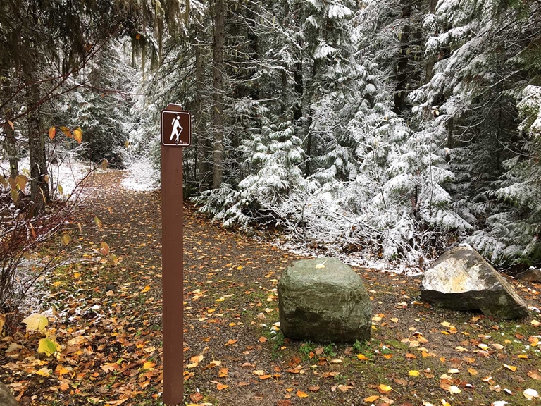 Trails at Mt Fernie Provincial Park - Fall Season