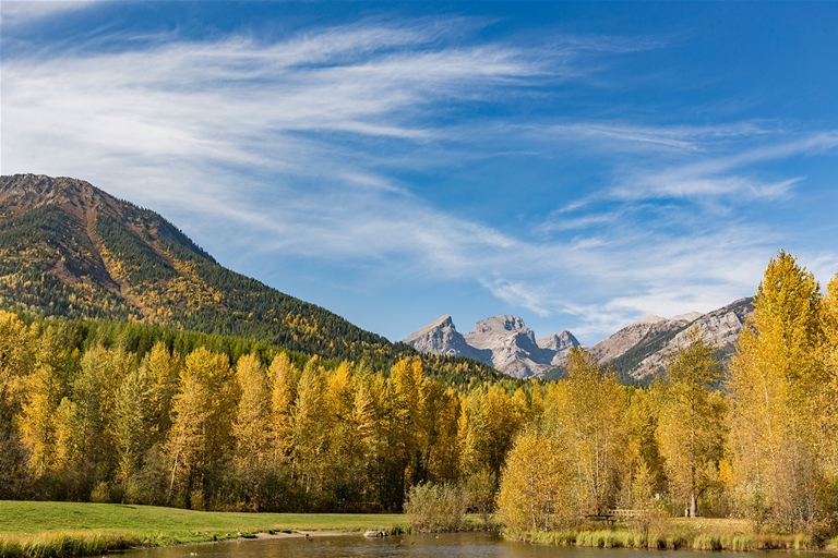Fall in Fernie - Views from Annex Park