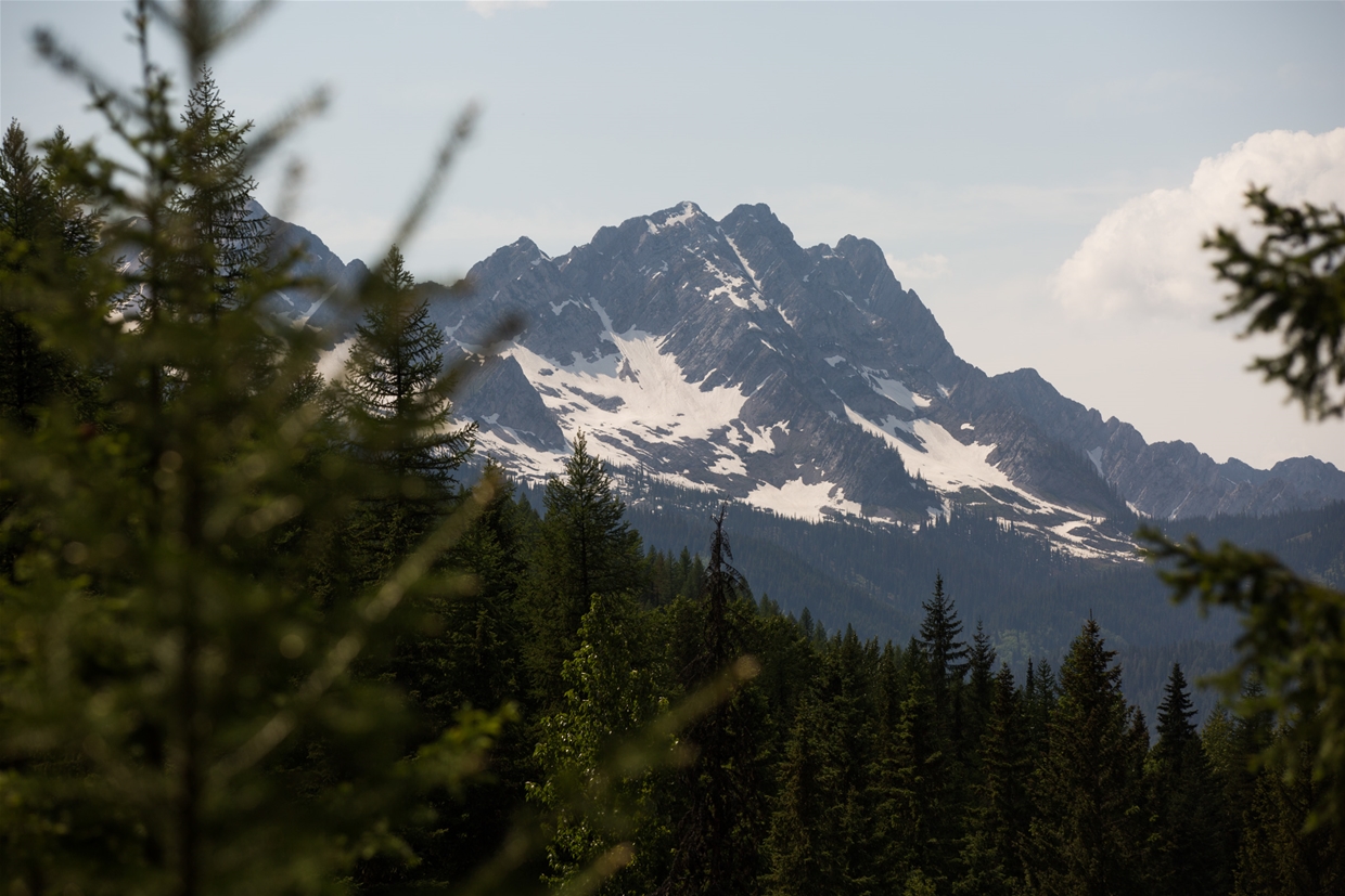 Valley views in Mt. Fernie Provincial Park