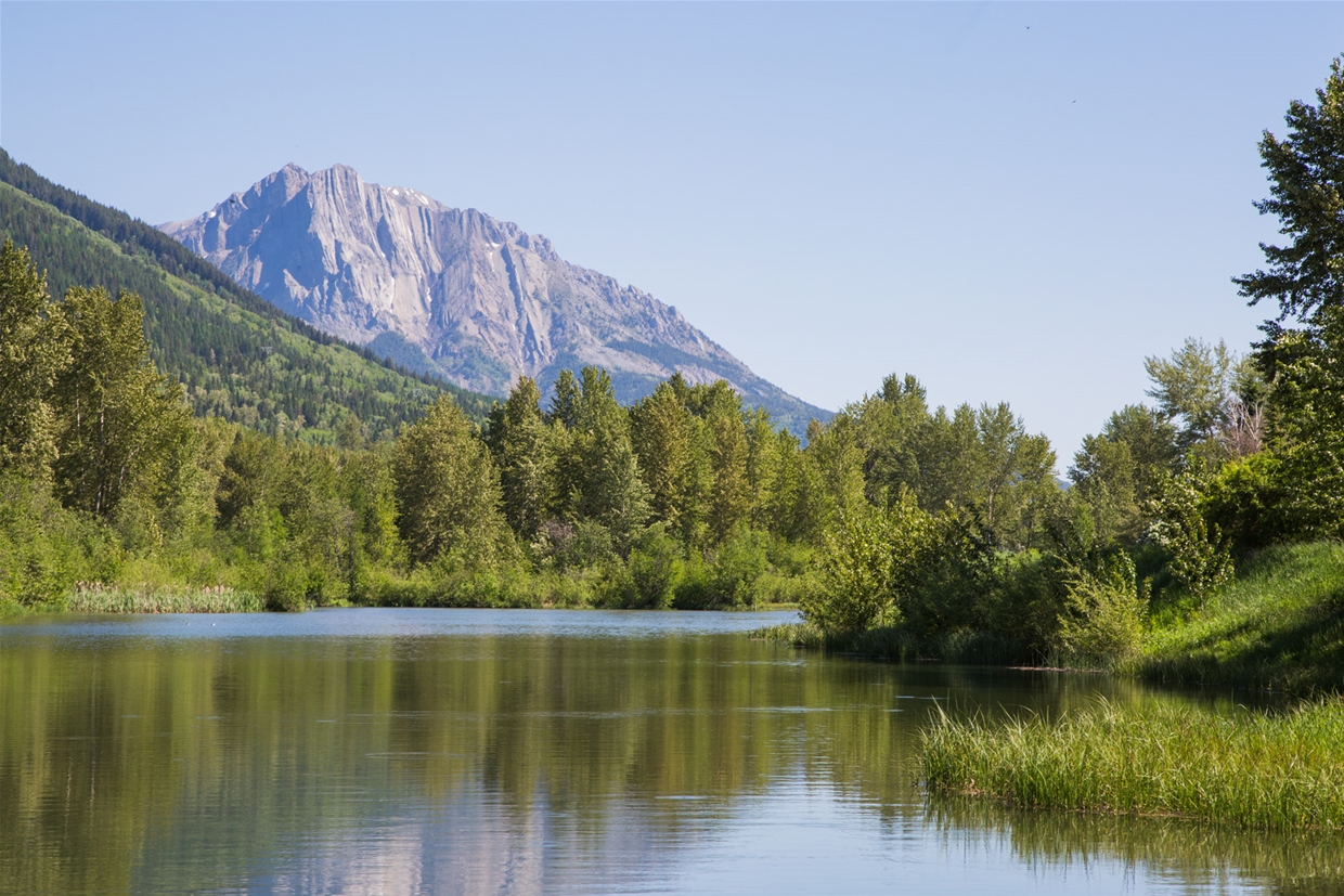 Annex Park in Spring