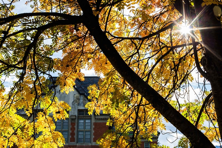 Fernie Court House Historic Building - Fall Season