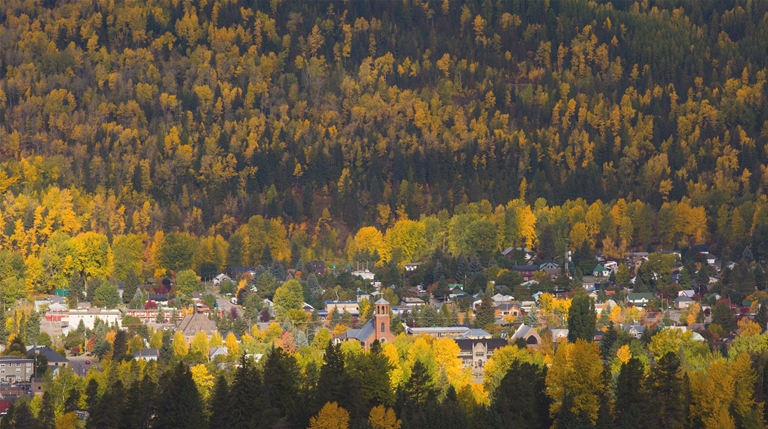 Fernie nestled in Autumn colours
