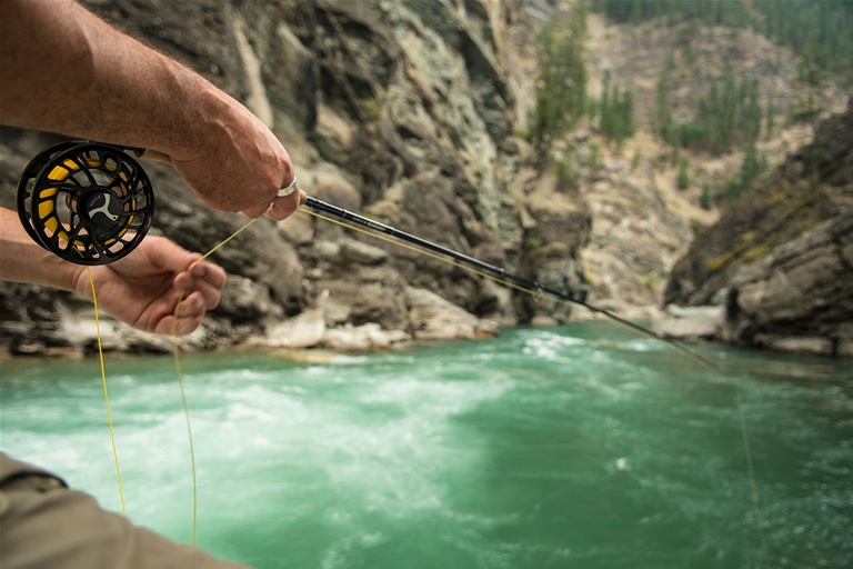 Fly fishing the Wigwam River