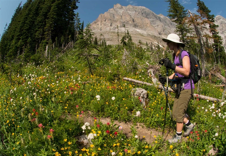 Heiko's Trail / Mountain Lakes Trail