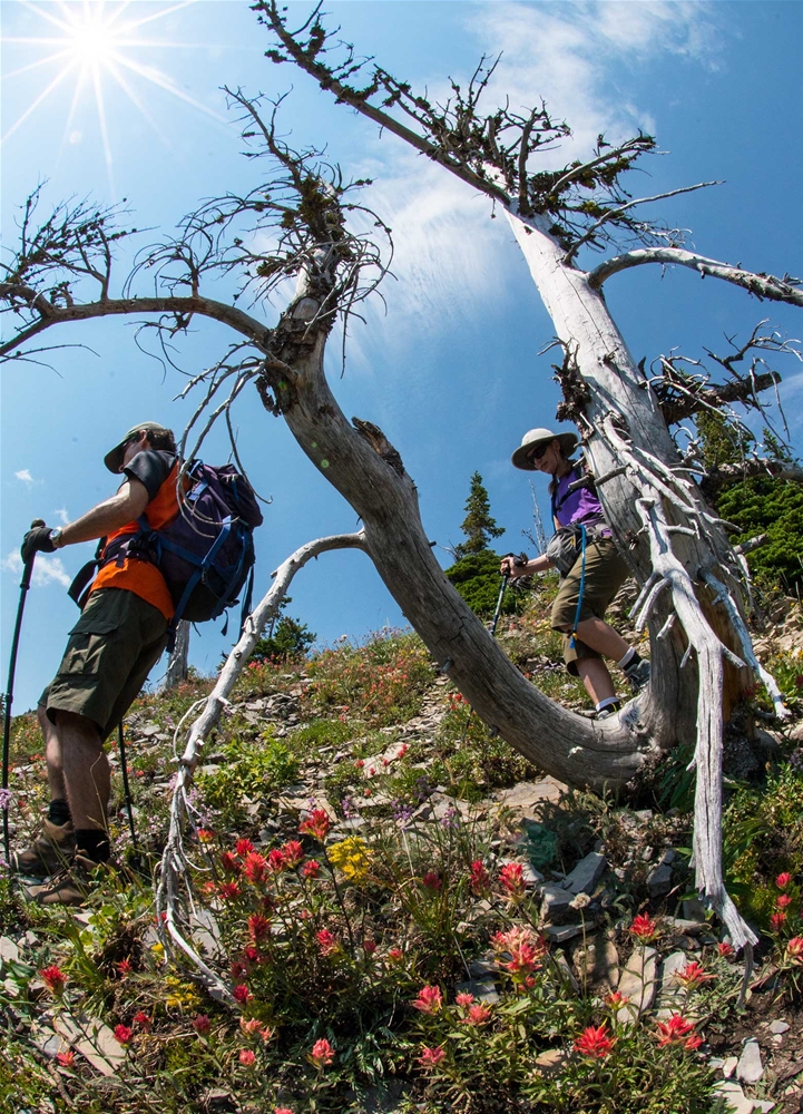 Hiking into the alpine along Heiko's Trail / Mountain Lakes Trail