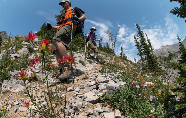 Hiking into the alpine along Heiko's Trail / Mountain Lakes Trail
