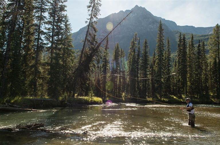 Fishing the White River near Fernie