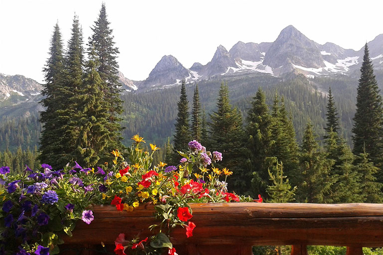 Beautiful year round