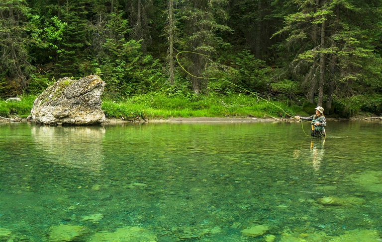 Fly Fishing in Fernie