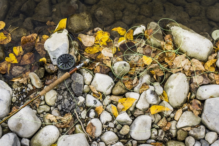 Fly fishing rod on the bank of the Elk River - Fall season in Fernie
