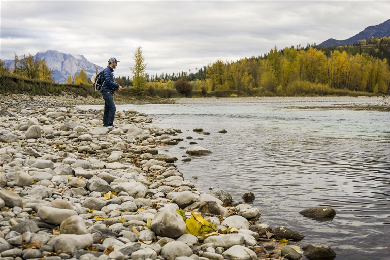 Fly fishing the Elk River in Fall Season in Fernie