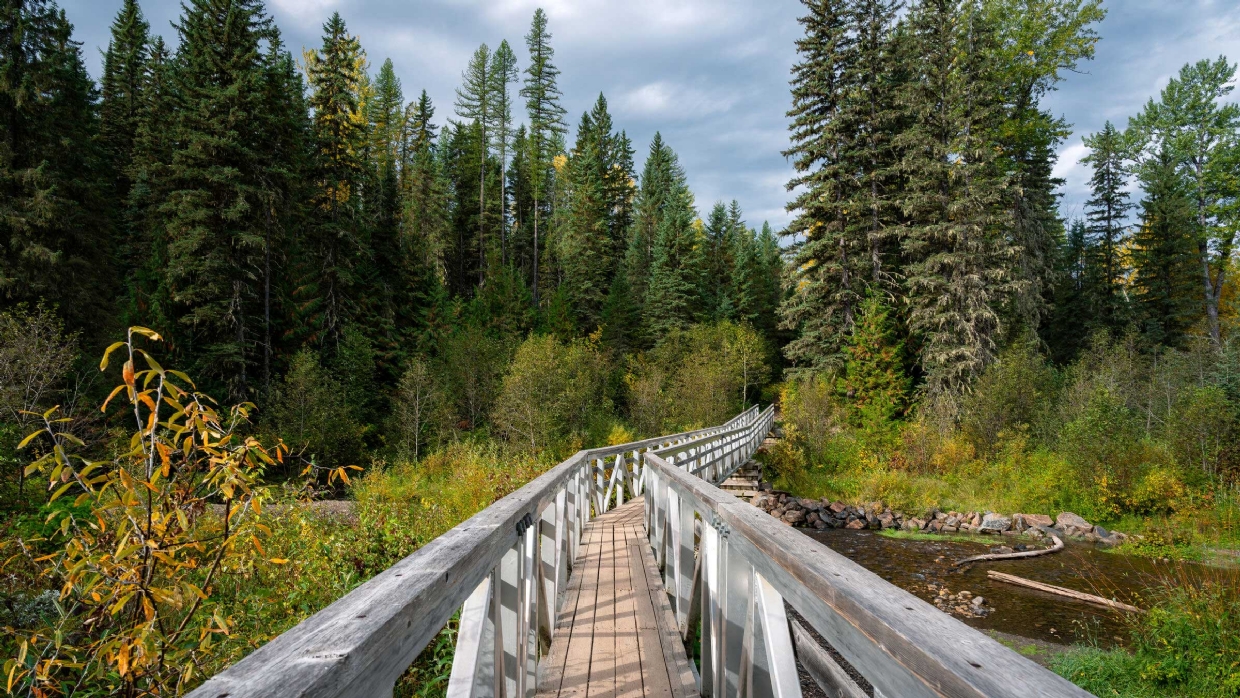 Gorby Bridge, Photo by Cole deMarco