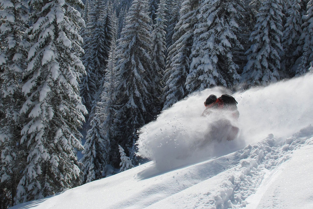 Fresh tracks all the way down