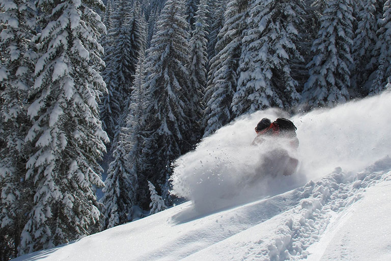 Fresh tracks all the way down