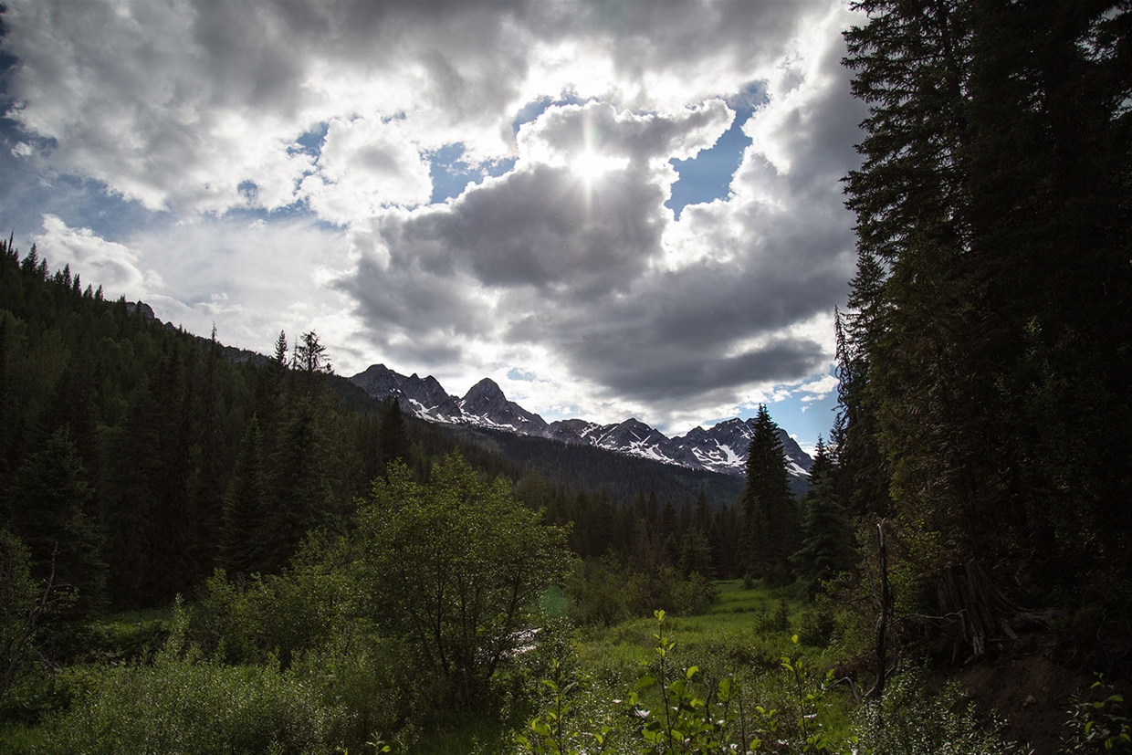 Photo by Adelle Jackman