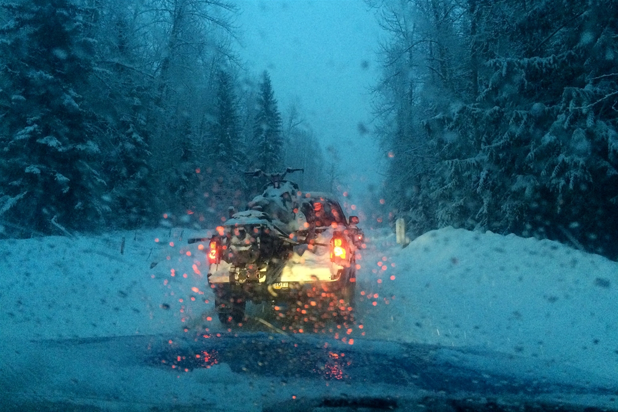 Avalanche Safety Training with Elk Valley Snow Shepherds