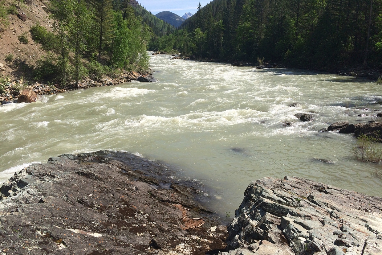 Checking out the class 4 section of the Bull River