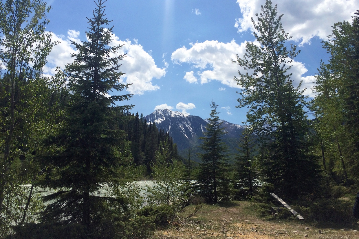 Lunch views on the Bull River