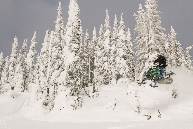 Snowmobiling around Fernie - January 2017