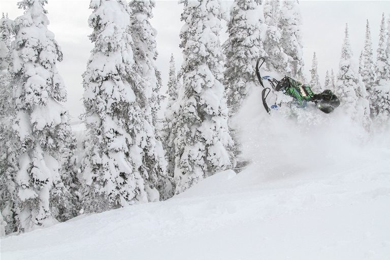 Snowmobiling around Fernie - January 2017