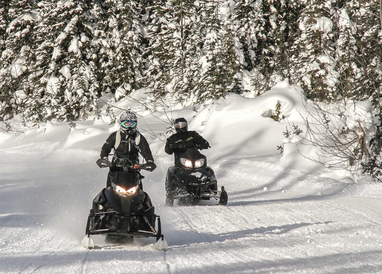 Snowmobiling around Fernie - January 2017