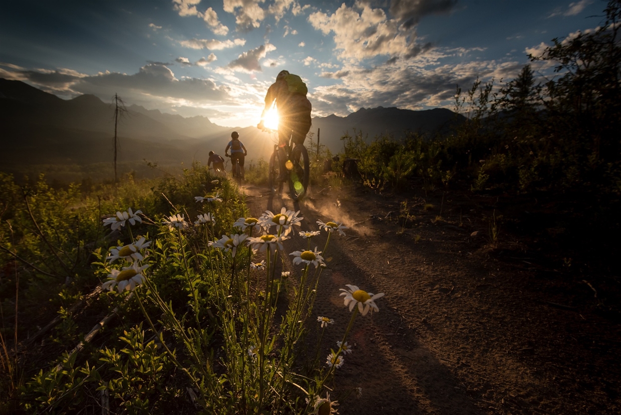 Jeff Bartlett - Mountain Biking in Fernie