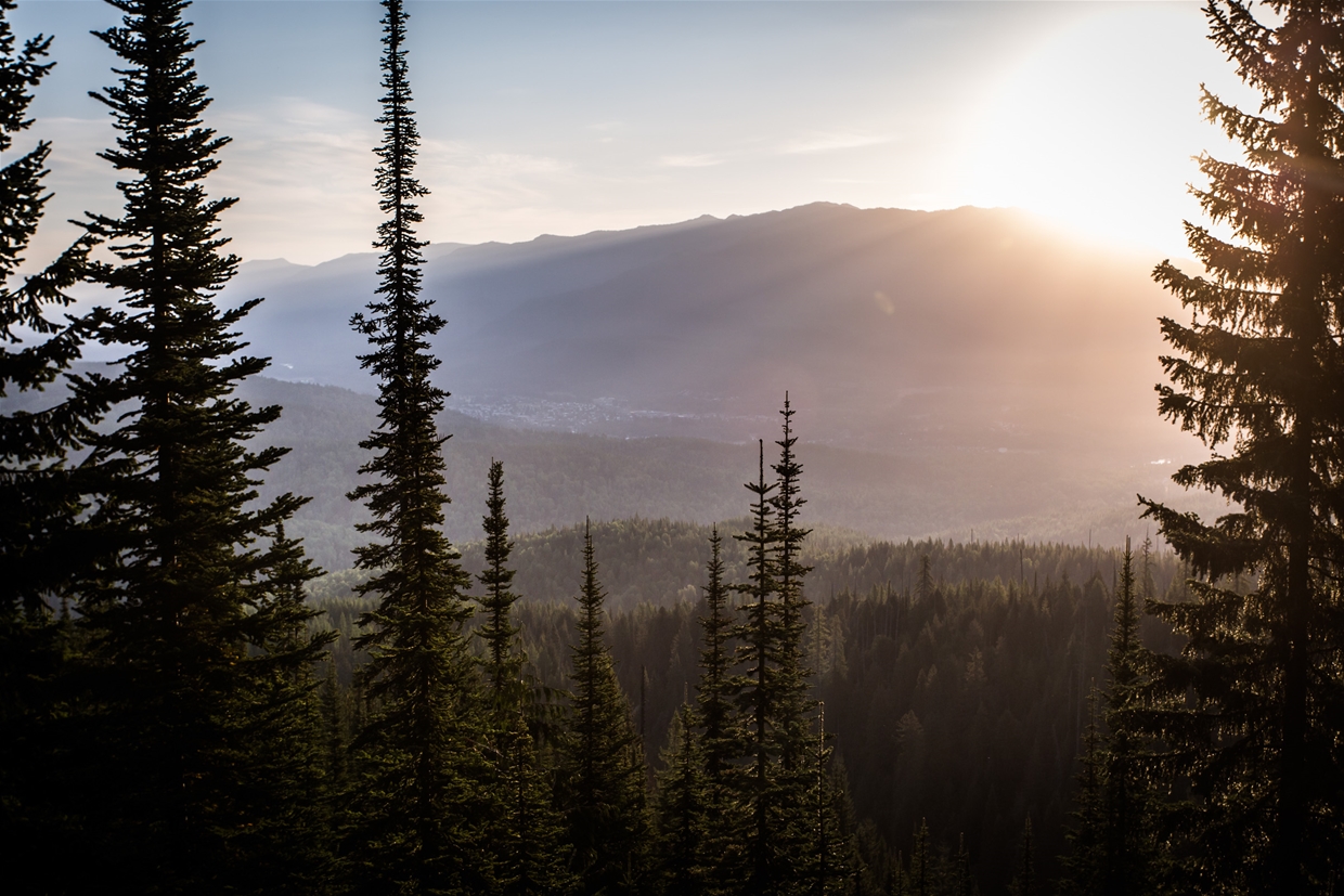 Town views from high up Mt. Fernie Provincial Park