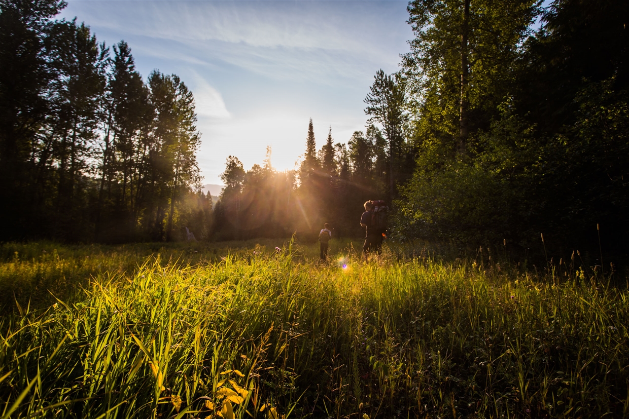 Lizard Lake Trail